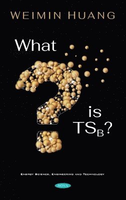 bokomslag What is TSB?