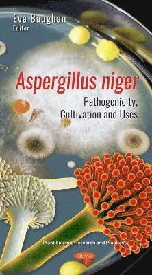 bokomslag Aspergillus niger