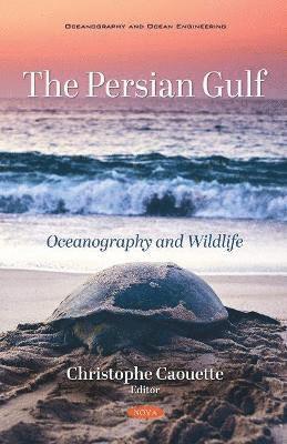 The Persian Gulf 1