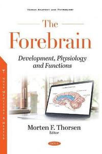 bokomslag Forebrain