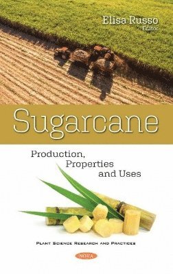 Sugarcane 1