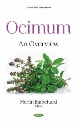 Ocimum 1