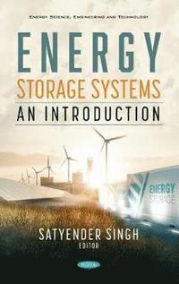 bokomslag Energy Storage Systems