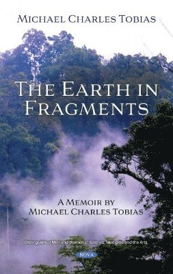 bokomslag Earth in Fragments
