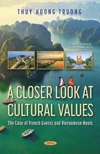 bokomslag Closer Look at Cultural Values