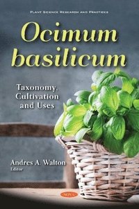 bokomslag Ocimum basilicum