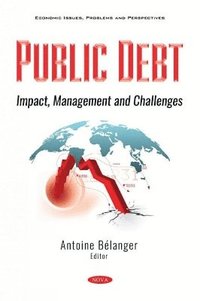 bokomslag Public Debt