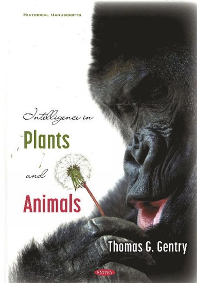 bokomslag Intelligence in Plants and Animals