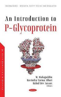 bokomslag An Introduction to P-Glycoprotein