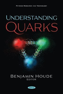 bokomslag Understanding Quarks
