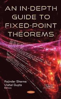 bokomslag In-Depth Guide to Fixed-Point Theorems