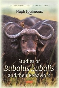 bokomslag Studies of Bubalus bubalis and their Behaviors