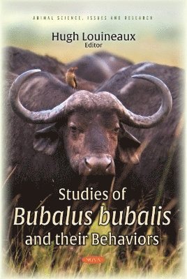 bokomslag Studies of Bubalus bubalis and their Behaviors