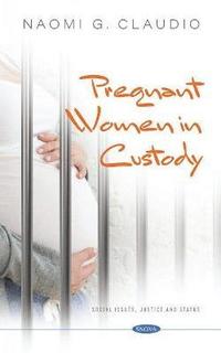 bokomslag Pregnant Women in Custody