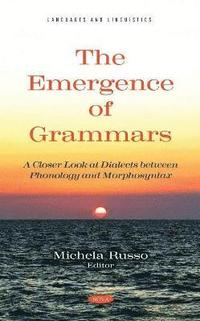 bokomslag The Emergence of Grammars