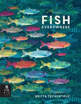 Fish Everywhere 1