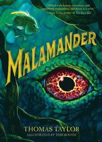 bokomslag Malamander