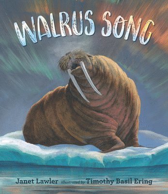 Walrus Song 1