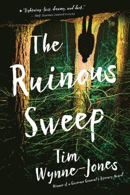 Tim Wynne-Jones - The Ruinous Sweep, Häftad