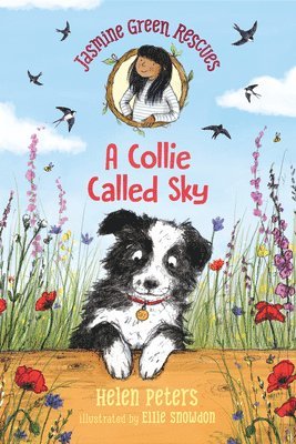 bokomslag Jasmine Green Rescues: A Collie Called Sky