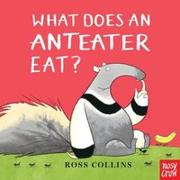 bokomslag What Does an Anteater Eat?