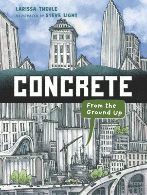 bokomslag Concrete: From the Ground Up