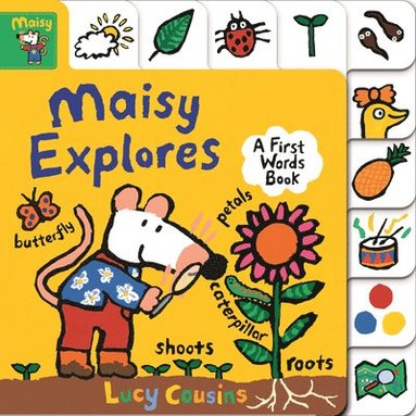 bokomslag Maisy Explores: A First Words Book: (A Maisy the Mouse Tabbed Board Book about the Seasons, Colors, and More - For Toddlers and Kids Ages 1-3)