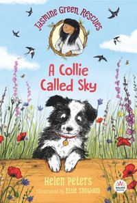bokomslag Jasmine Green Rescues: A Collie Called Sky