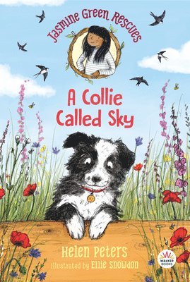 Helen Peters - Jasmine Green Rescues: A Collie Called Sky, Häftad