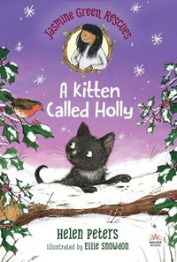 bokomslag Jasmine Green Rescues: A Kitten Called Holly