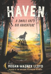 bokomslag Haven: A Small Cat's Big Adventure