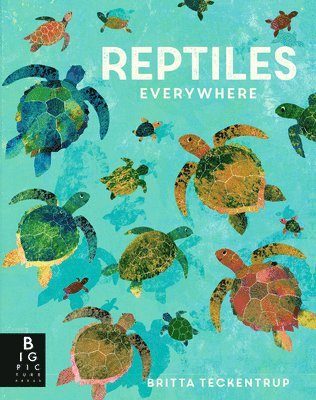 Reptiles Everywhere 1