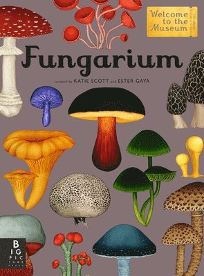 Ester Gaya - Fungarium: Welcome to the Museum, Inbunden