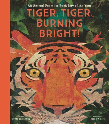 Tiger, Tiger, Burning Bright!: An Animal Poem for Each Day of the Year 1