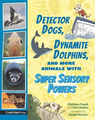 Detector Dogs, Dynamite Dolphins, and More Animals with Super Sensory Powers 1