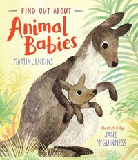 bokomslag Find Out about Animal Babies