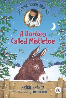 Jasmine Green Rescues: A Donkey Called Mistletoe 1