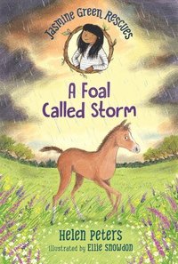 bokomslag Jasmine Green Rescues: A Foal Called Storm