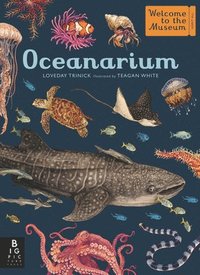 bokomslag Oceanarium: Welcome to the Museum