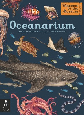 Oceanarium: Welcome to the Museum 1