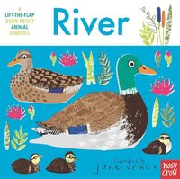 bokomslag Animal Families: River