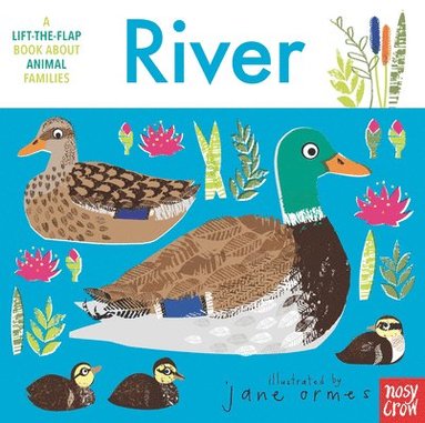 bokomslag Animal Families: River