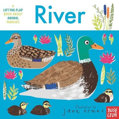 Animal Families: River 1