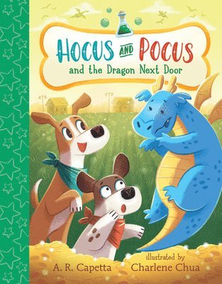 Hocus and Pocus and the Dragon Next Door 1