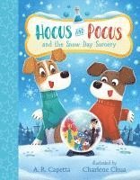 bokomslag Hocus and Pocus and the Snow Day Sorcery