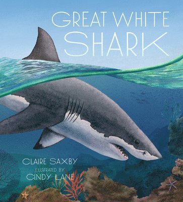 Great White Shark