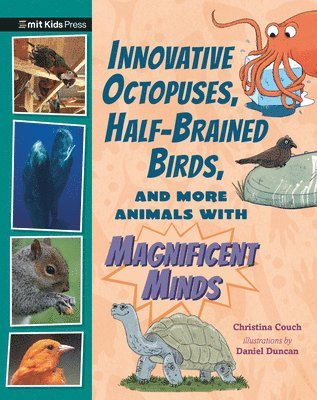 bokomslag Innovative Octopuses, Half-Brained Birds, and More Animals with Magnificent Minds