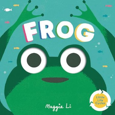 Maggie Li - Frog, Kartonnage
