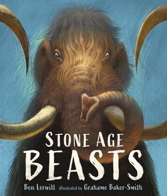 bokomslag Stone Age Beasts