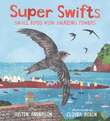 bokomslag Super Swifts: Small Birds with Amazing Powers
